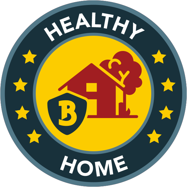 Healthy Home Package Icon