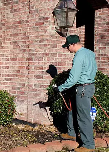 residential pest control