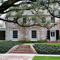 house with termites