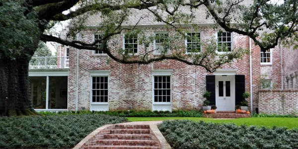 house with termites