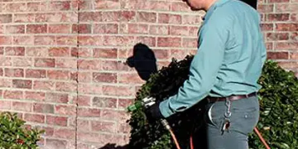 Residential Pest Control